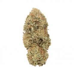 Acapulco Gold Sativa 1
