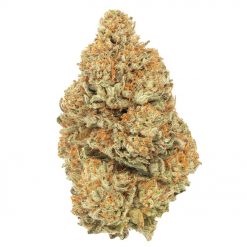 Afghan Kush Indica