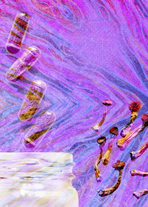 Biological and Psychologically Unique to Each Individual