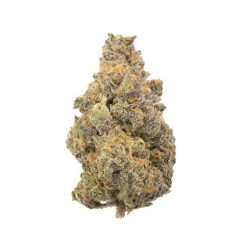 Black Nuken 1