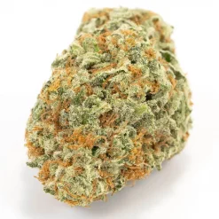 Bruce Banner Hybrid
