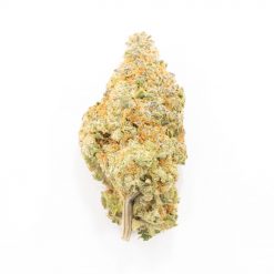 Crystal Coma Hybrid
