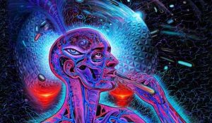 DMT in the Human Brain