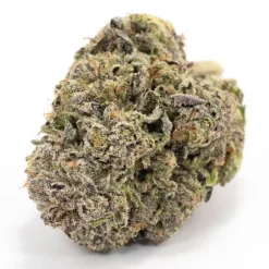 El Jefe Indica