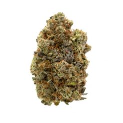 Gelato Indica