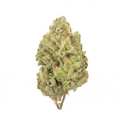 Gorilla Bomb