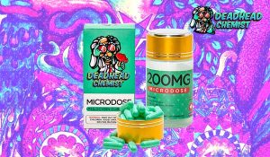 How To Safely Microdose Magic Mushrooms