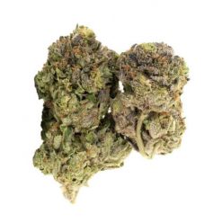 Island Pink Kush Indica