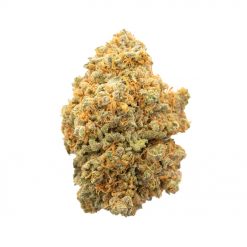Jamaican Haze Sativa