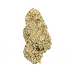 Jet Fuel Indica