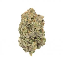 King Louis XIII Indica