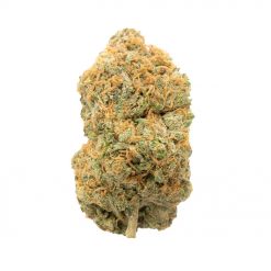 Lambs Bread Sativa
