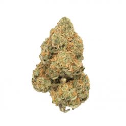 Nyc Diesel Sativa