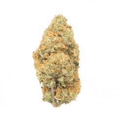 Orange Cookies Sativa