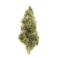 Skywalker Og Indica