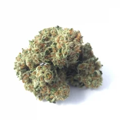 Strawberry Banana Sativa
