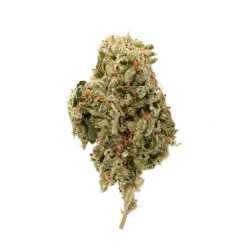 Super Lemon Haze Sativa