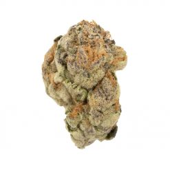 Super Snow Dog Indica