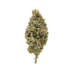 Vanilla Frost Indica