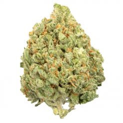 Violator Kush Indica