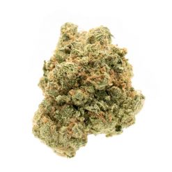 Watermelon Indica
