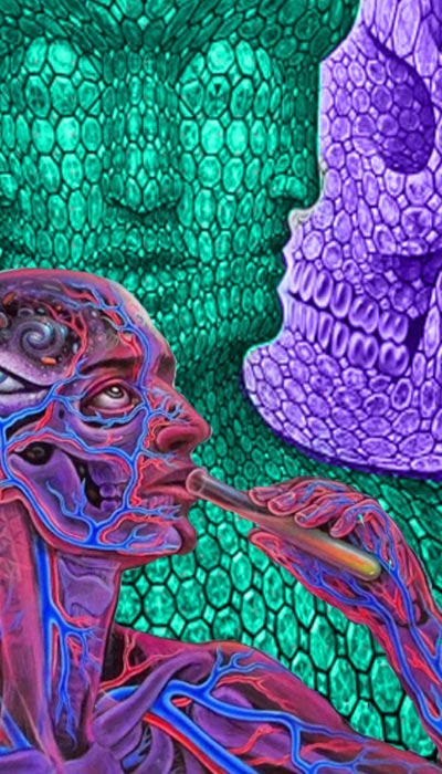 DMT Effects Side Banner