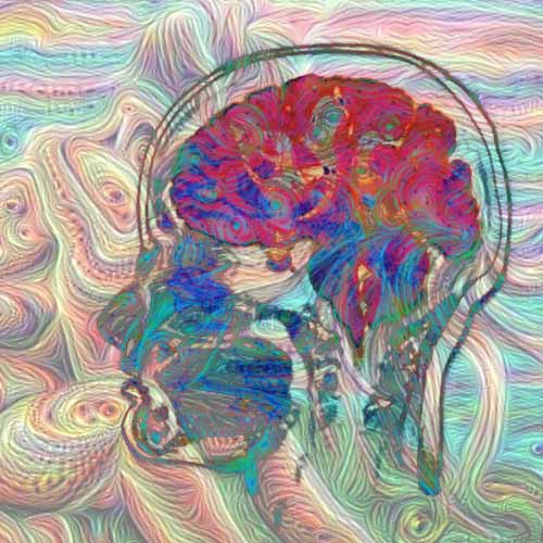 DMT in the Brain