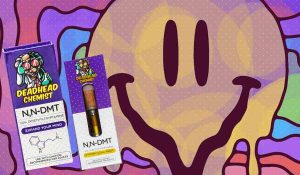 Testing DMT