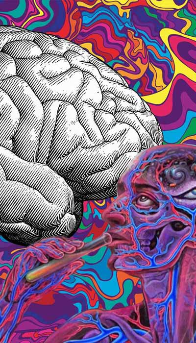 Where it Started in the Brain