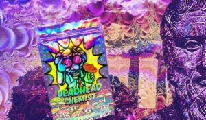 History Of Psilocybin