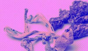 Mixing Weed And Magic Shrooms