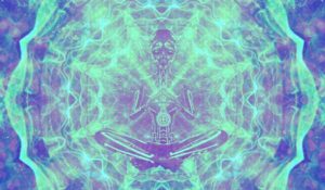 What tripping on DMT means