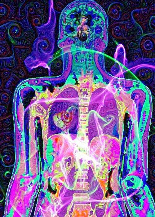 Effects on the Body