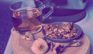 Making Shroom Tea