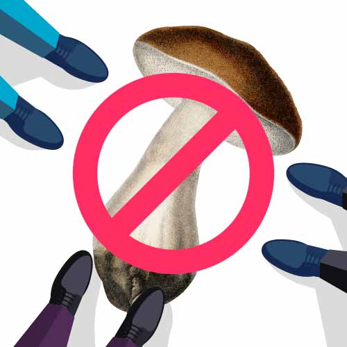 Mistakes to Avoid