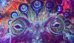 The Toad Project