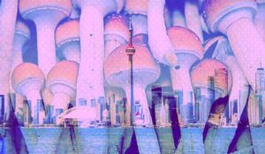 Top Places to do Magic Mushrooms in Toronto