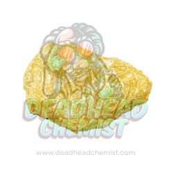 DH Gold M