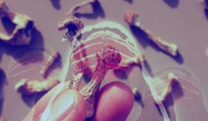 Exploring the Potential of Magic Mushrooms to Alleviate Depression and Anxiety