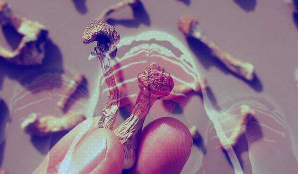 Exploring the Potential of Magic Mushrooms to Alleviate Depression and Anxiety