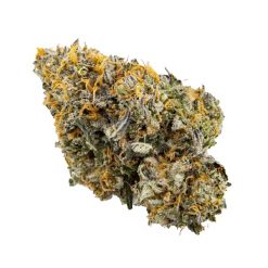 Sunset Sherbert