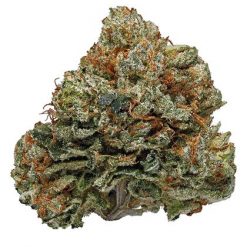 Paris OG Indica