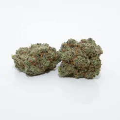 Alternative view of Candystore Hybrid