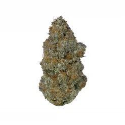Alternative view of GMO Cookies Hybrid