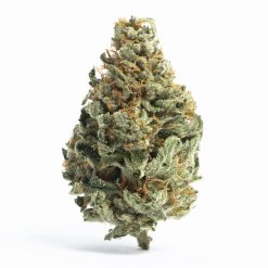 Chcolope Hybrid Image